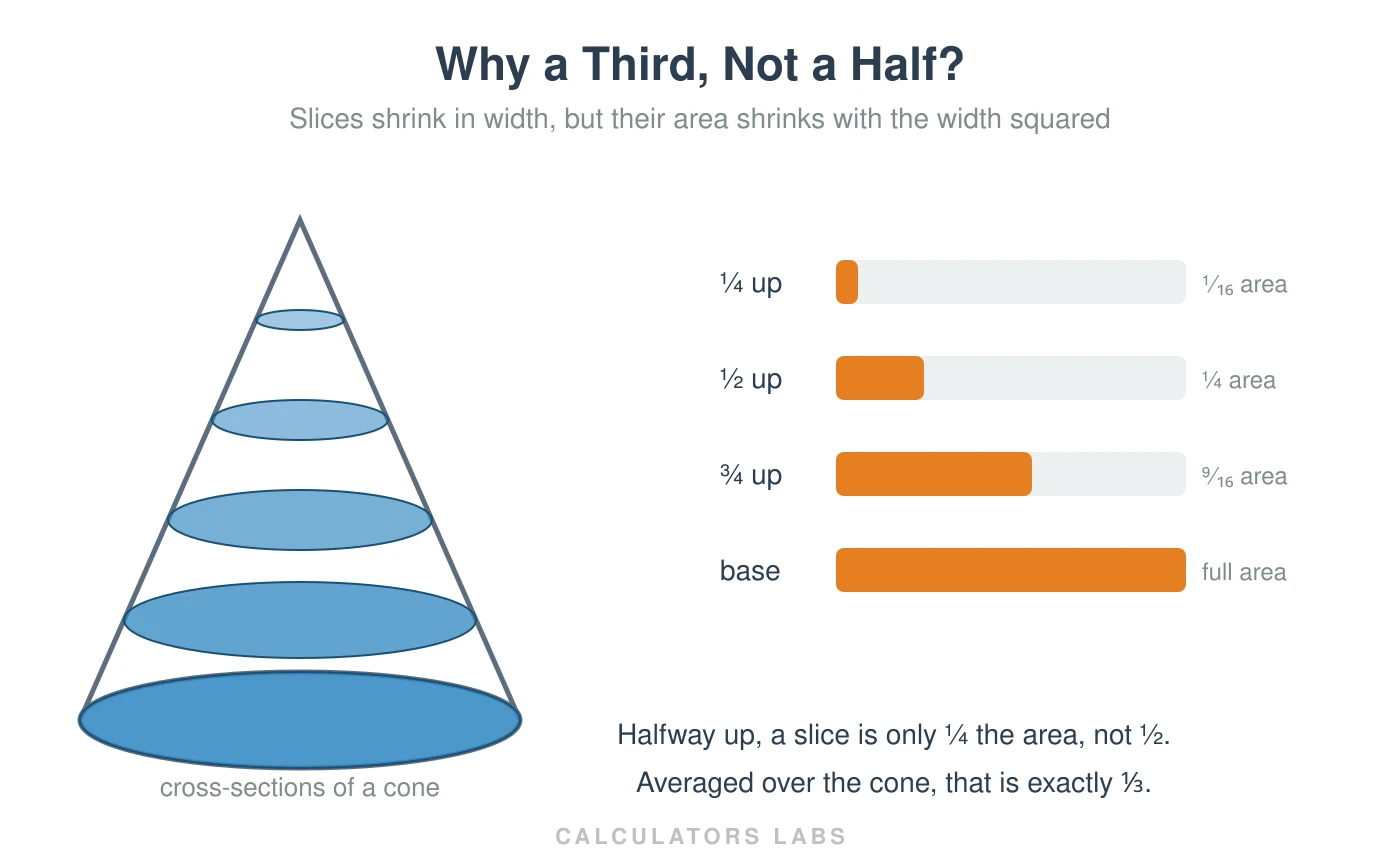 A cone sliced into horizontal discs with bar charts showing that the slice halfway up has only one-quarter of the base area, not one-half, because area scales with the radius squared