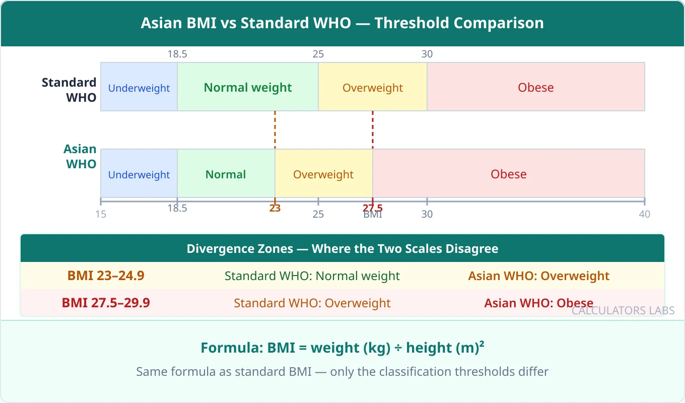 Side-by-side comparison of Standard WHO and Asian WHO BMI thresholds, showing Normal weight ends at 25 on the standard scale but at 23 on the Asian scale, and Obese begins at 30 vs 27.5